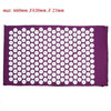 Acupuncture Massager Mat with Pillow